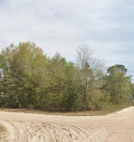 Lots 12 & 13 Levine St, Interlachen, FL 32148