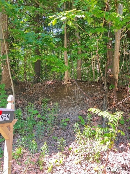 8978 Jennings Rd, Eden, NY 14057