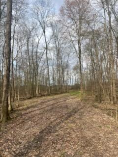 0 Summit Rd, Leonidas, MI 49066