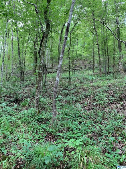 1321 Red Oak Rd, Helena, AL 35080