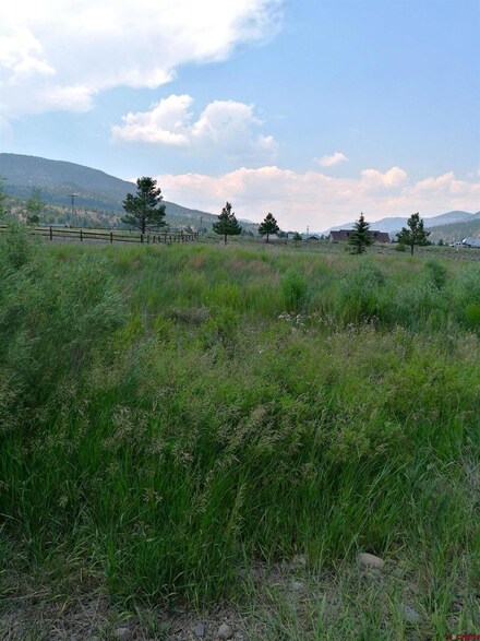 113 Rivercrest Dr, South Fork, CO 81154