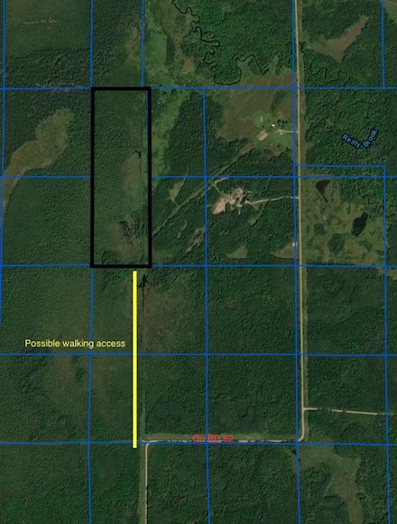 TBD Co Rd 62, South Koochiching Unorg. Terr., MN 56639