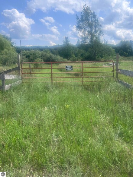 TBD W Pickard Rd, Remus, MI 49340