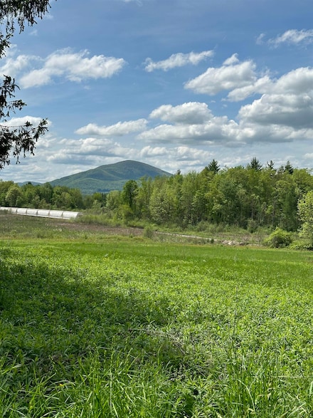 295 Overlea Rd, North Bennington, VT 05257