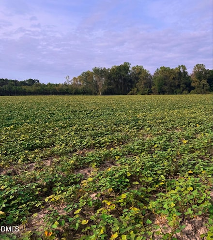 0 Devils Racetrack Rd Unit 10129662, Four Oaks, NC 27524