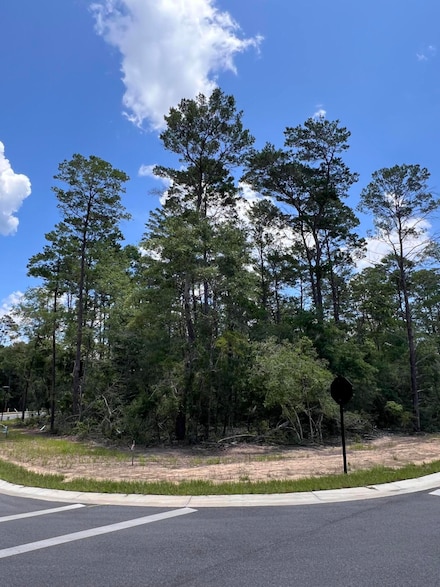 258 Foxglove Run, Niceville, FL 32578
