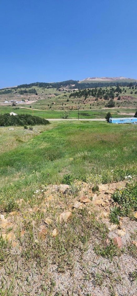 0 S 1st St Unit 41&42, Cripple Creek, CO 80813