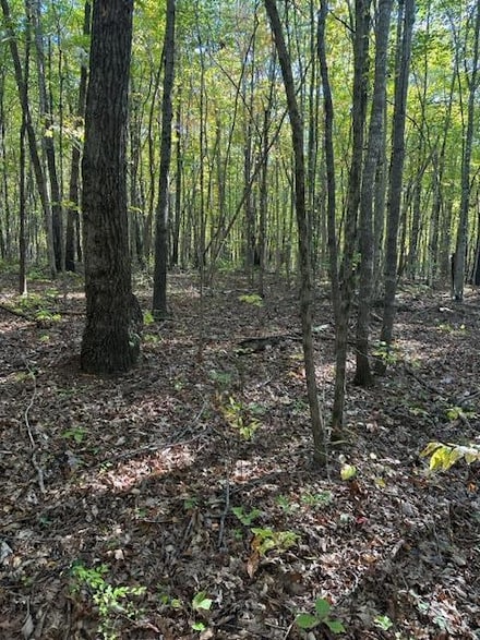 Lot 95 Parkstown Rd, Wilder, TN 38589