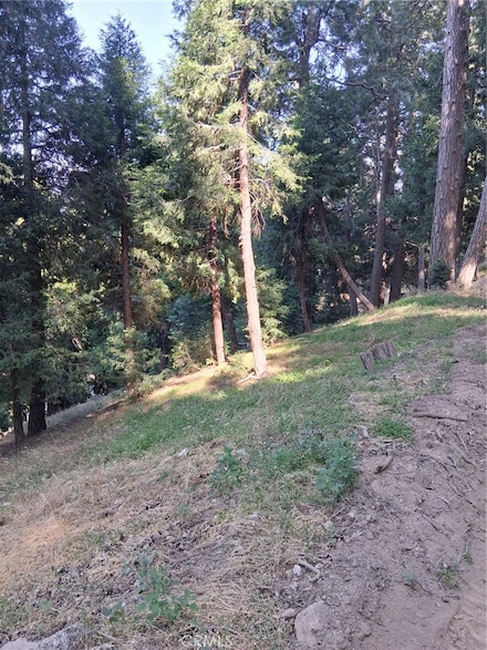 61 Evergreen Dr, Crestline, CA 92325