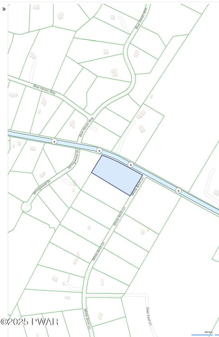 Lot 1 White Birch Ln, Paupack Township, PA 18428