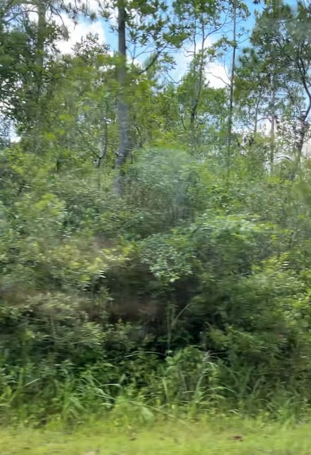 2217 Fieldcrest Rd, Southport, NC 28461