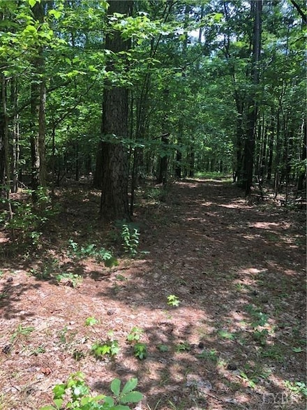 2341 Chappell Rd, Keysville, VA 23947