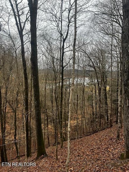 0 Russell Brothers Rd Unit 1305608, Sharps Chapel, TN 37866