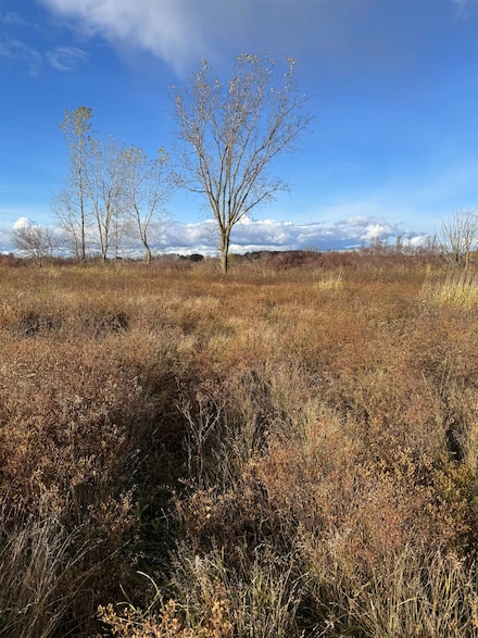 00 Weber Rd, Columbus, MI 48063