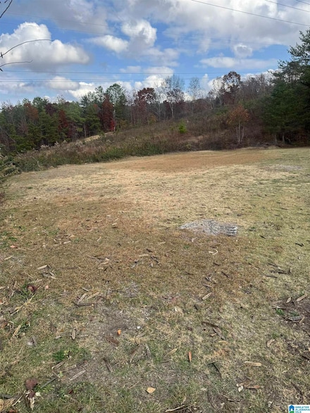 4329 Hathaway Ln, Mount Olive, AL 35117