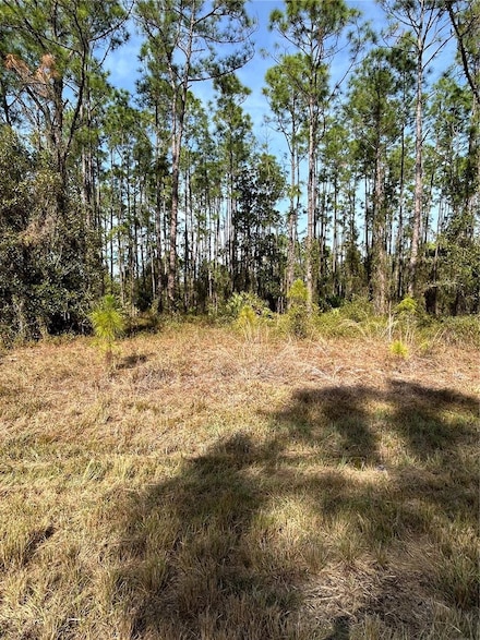 309 Sundance Trail, Wimauma, FL 33598