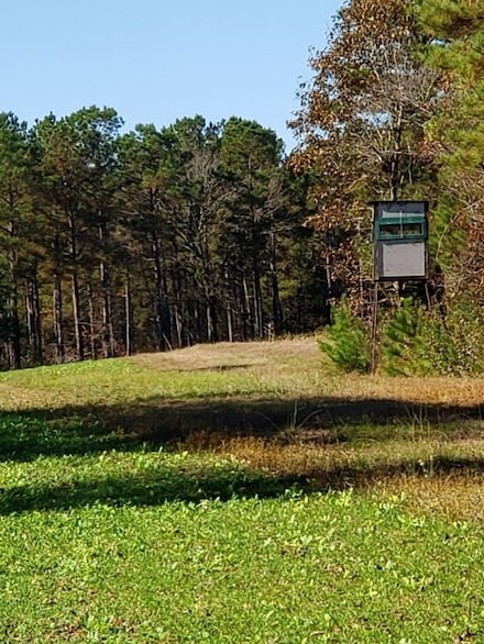 1825 Fairfield Hill Rd, Blackstock, SC 29014