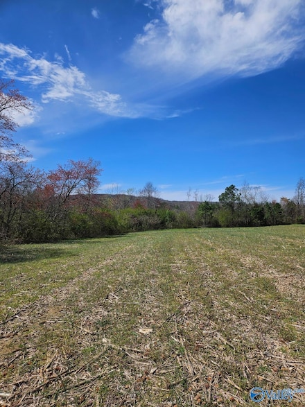 13.5 Acres County Road 687, Henagar, AL 35978
