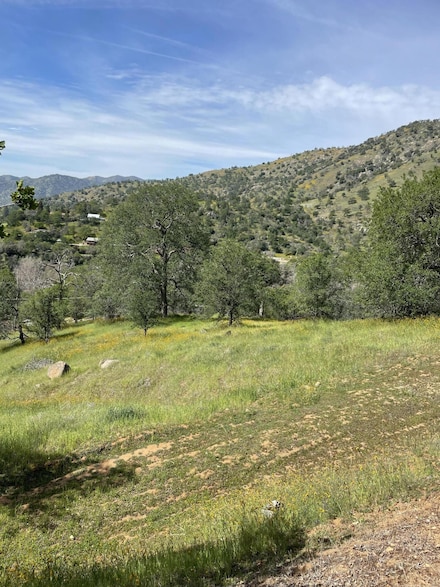 0 E Mynatt Dr Unit 226338, Three Rivers, CA 93271