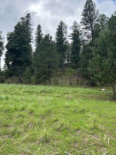 0 Trading Post Rd Unit 66 170435, Cloudcroft, NM 88317