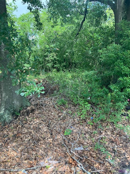 615 N 33rd St, Baton Rouge, LA 70802