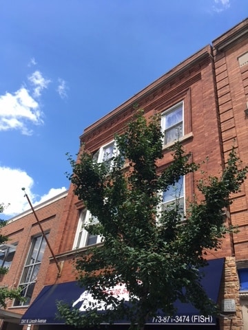 3341 N Lincoln Ave Unit 2, Chicago, IL 60657