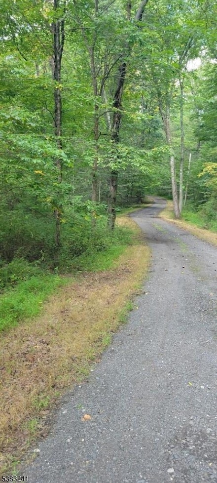 13 Ridge Rd, Hopewell, NJ 08525