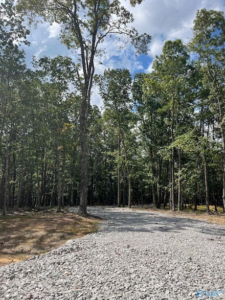 15099 Wade Point Dr SE, Huntsville, AL 35803
