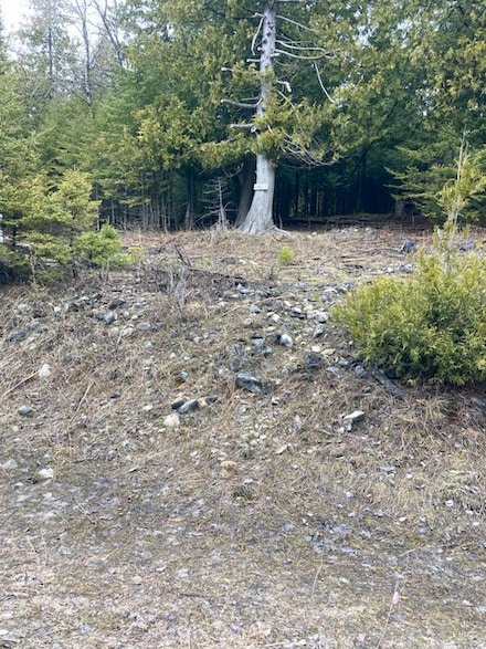 0 Old Ferry Dock Rd Unit 25-216, Drummond Island, MI 49725