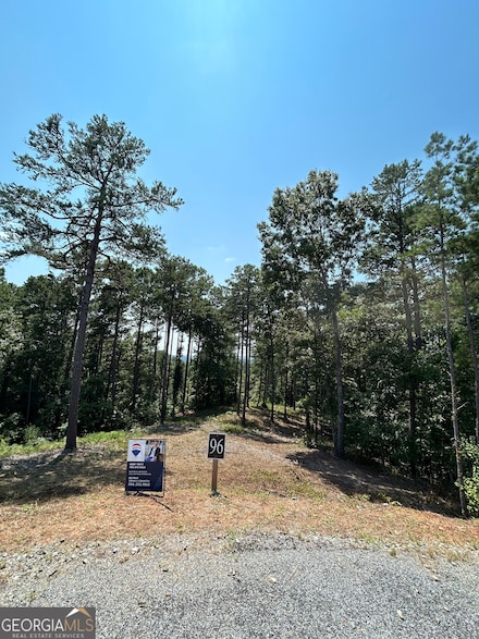 LT 96 Deep Springs Trail, Talking Rock, GA 30175