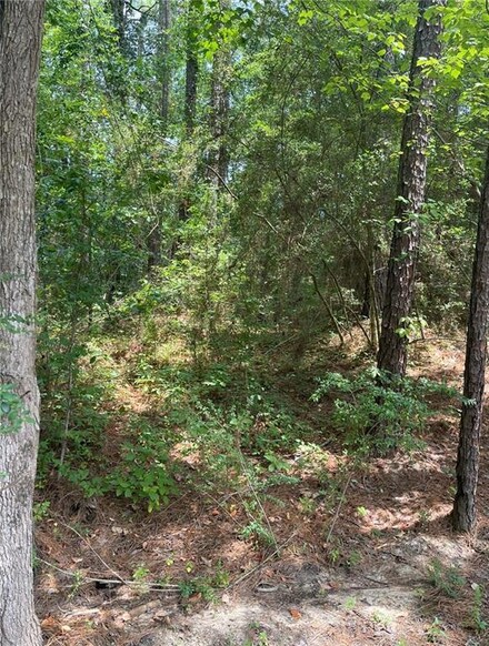 110 Seneca Ct, Pineville, LA 71360