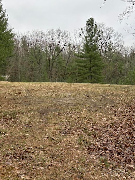VL Pineview Ct, Moffatt Township, MI 48610