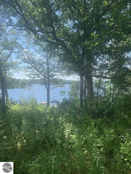 0 Bass Lake Road Lot 4 Bass Lake Rd Unit 4 1904178, Lupton, MI 48635