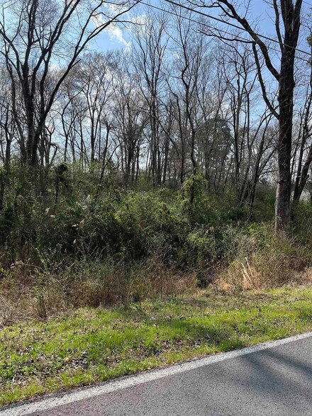 0 Spring St Lots 53-56 Unit 25010029, Hot Springs, AR 71901