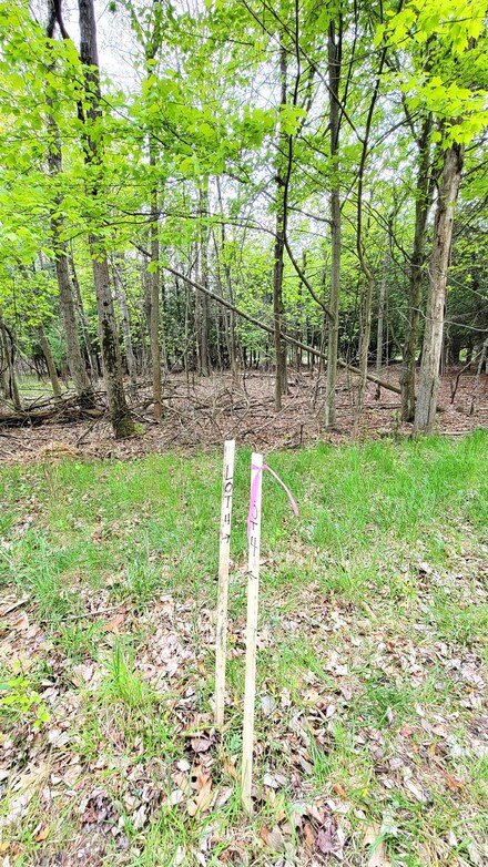 0 Bonita Way Unit Lot 4 24024822, Onekama Township, MI 49675