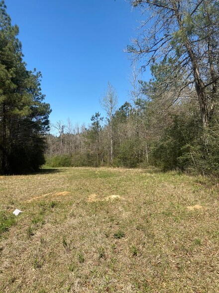 0000 Magnolia Pisgah Rd, Summit, MS 39666