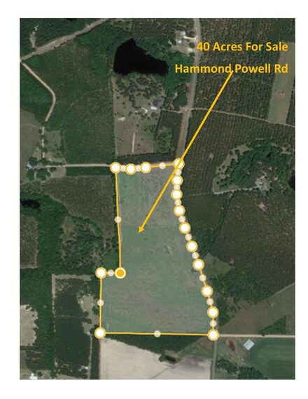 -- Hammond Powell Rd, Hazlehurst, GA 31539