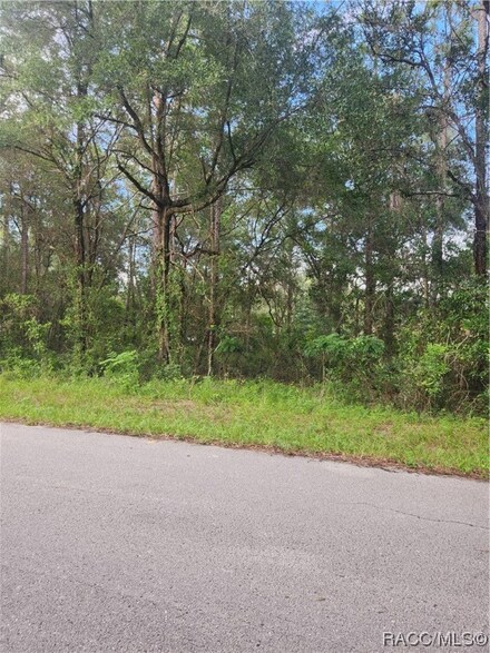787 N Charles Ave, Inverness Highlands North, FL 34453