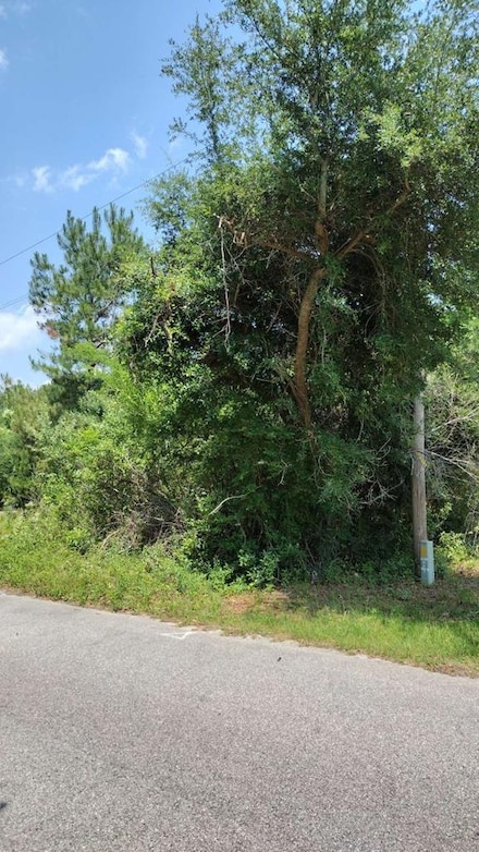 00 lot3 Meagen Ln, Manning, SC 29102
