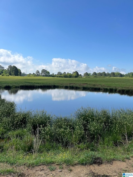 0 Morton Rd Unit 1 21423587, Oneonta, AL 35121