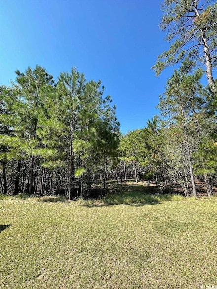 314 Cypress Flat Ct, Conway, SC 29526