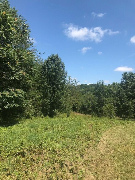 Lot 3R Piney Rd, Kodak, TN 37764