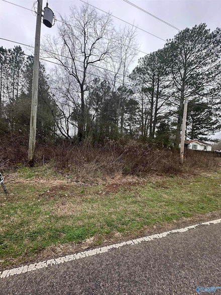 Tract 2 Mckee Rd, Harvest, AL 35749