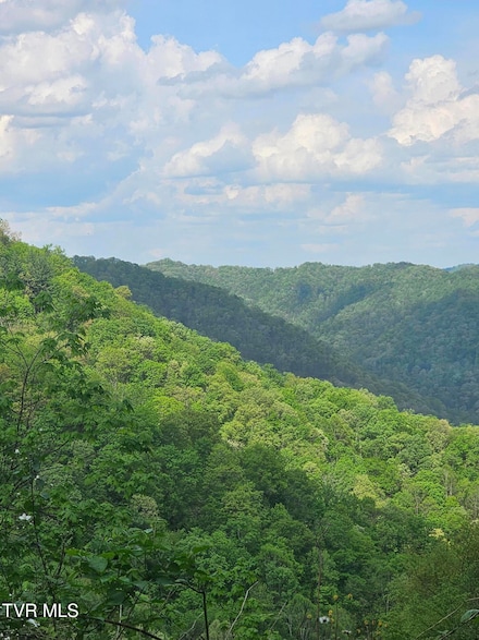 1097 Peter Pan Rd, Big Rock, VA 24603