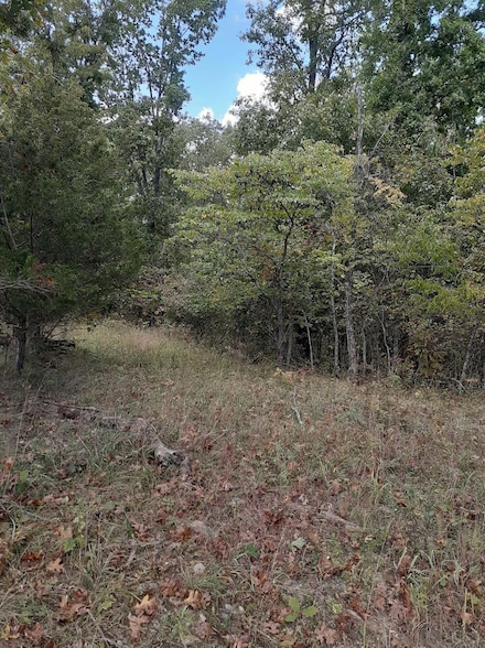 Lot 15 Apple Ln, Cynthiana, KY 41031