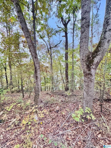 0 Kewanee Ln Unit 21435353, Talladega, AL 35160