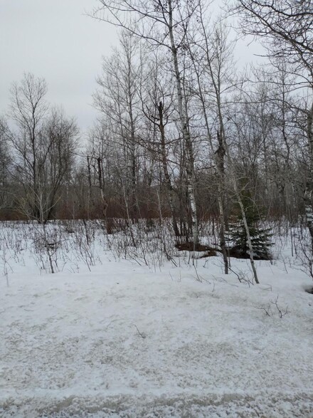 0 Pineview Dr Unit Lot 258,259, & 260, Elmira, MI 49730