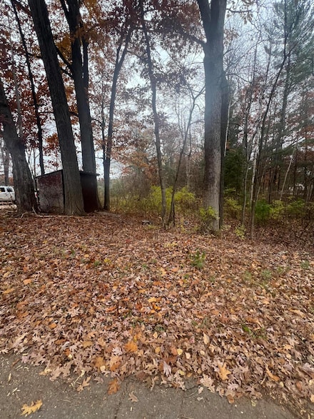 V/L 0.25A Main St, Wellston, MI 49689