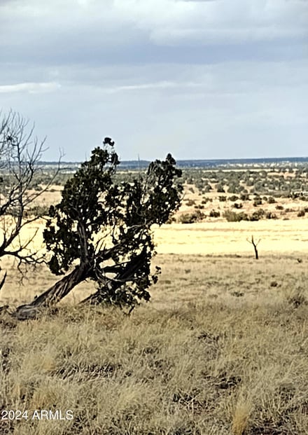 Lot 88 Ranch of the White Mountains -- Unit 88, Concho, AZ 85924
