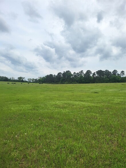 227W & TBD Hayesspring, Grapeland, TX 75844